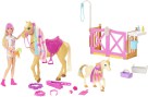 barbie-groom-n-care-doll-horses-and-playset-mismoosh-2
