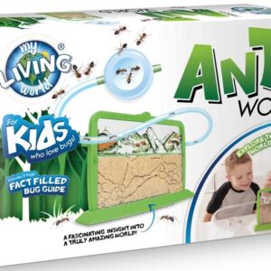 My Living World – Ant World