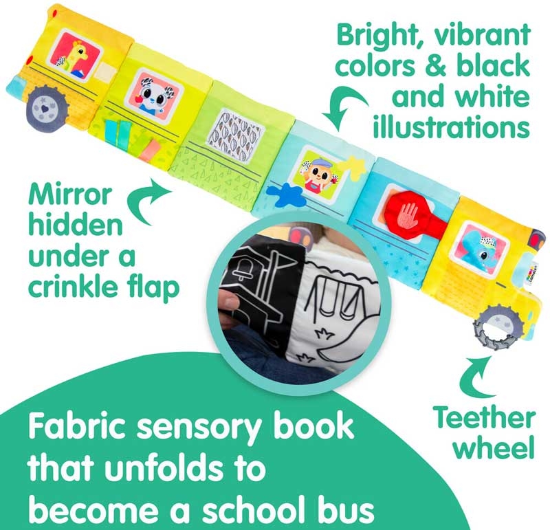 Accordion Bus - Image 3