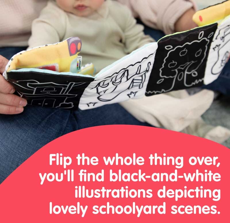 Accordion Bus - Image 5