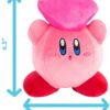 Kirby & Friend Heart Junior Plush