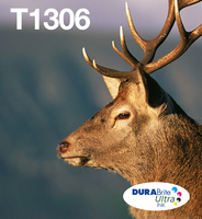 MULTIPACK 3-COLOURS T1306 DURABRITE