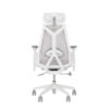 ASUS DESTRIER CORE CHAIR
