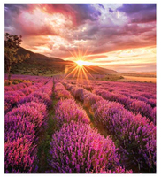 SAMSUNG LED - IF-E 1.5MM CABINETS