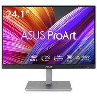ASUS PROART DISPLAY PA248CNV