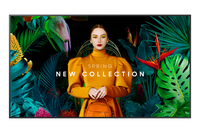 SAMSUNG QH75C DISPLAY