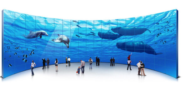 Samsung MagicInfo Video Wall-2 S/W - Author License 1 license(s)