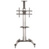 StarTech.com TV Cart - Height Adjustable - Lockable Wheels