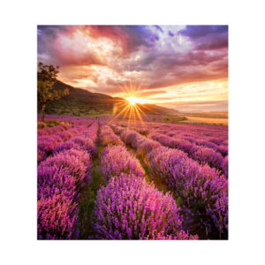 Samsung LH020IFHBAE video wall display Direct view LED (DVLED) Indoor