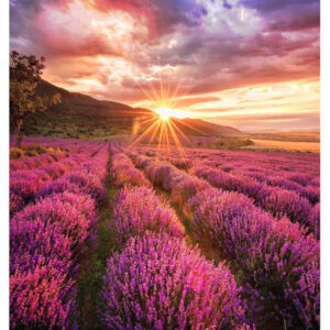 61137958_4299909259.jpg Samsung IF015H-E LED Indoor