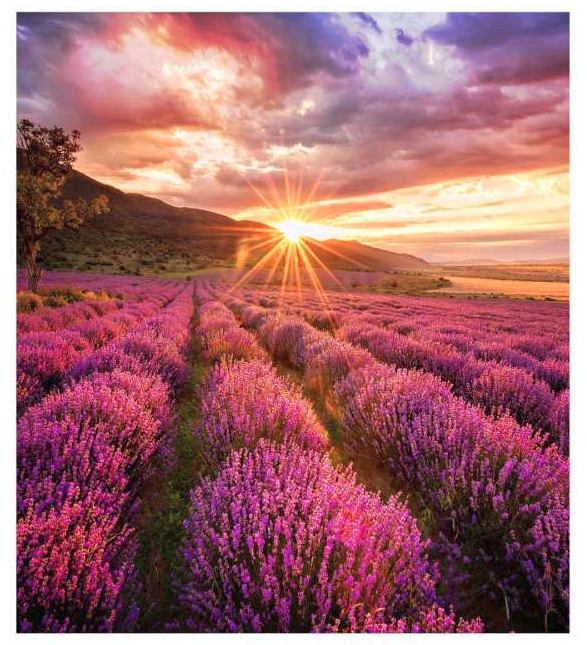 61137958_4299909259.jpg Samsung IF025H-E LED Indoor