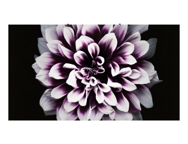 86288886_3359033399.jpg Samsung LH008IWJMWS/XU video wall display Indoor