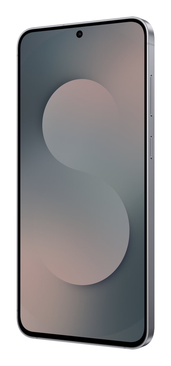 Samsung Galaxy S25 FE SM-S731B/DS 17 cm (6.7") Dual SIM Android 16.0 5G USB Type-C 8 GB 256 GB 4900 mAh Black